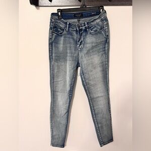 Judy Blue Light Wash Skinny Jeans